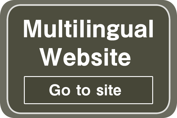 Hitoyoshi Onsen Yoshino Ryokan